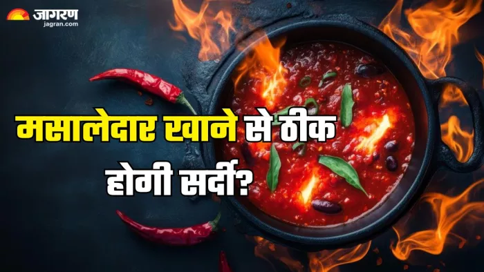क्या स्पाइसी फूड से होता है सर्दी का इलाज? (Picture Credit- Freepik)
