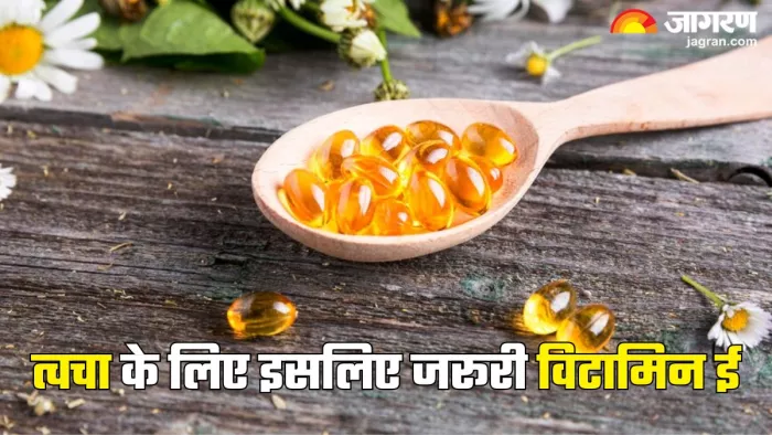 स्किन के लिए विटामिन ई के फायदे (Picture Credit- Freepik)
