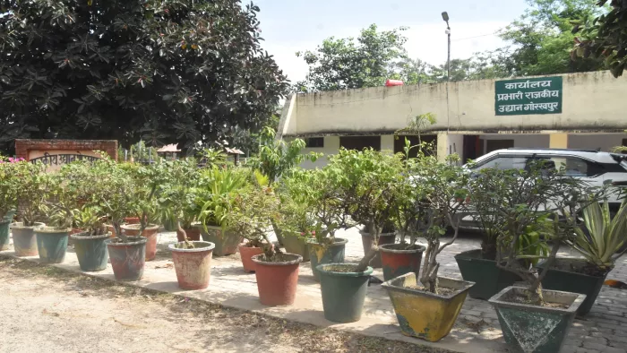 राजकीय उद्यान कार्यालय के बाहर लगे गमले। जागरण