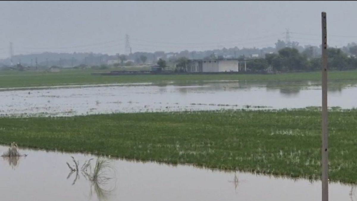 https://www.jagranimages.com/images/newimg/03092025/03_09_2025-faridabad_flood_24034495.jpg