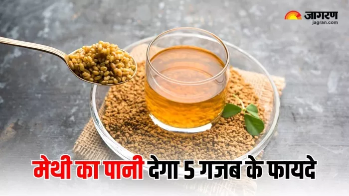 मोटापा और शुगर जैसी बीमारियों को दूर रखेगा मेथी का पानी (Image Source: Freepik)