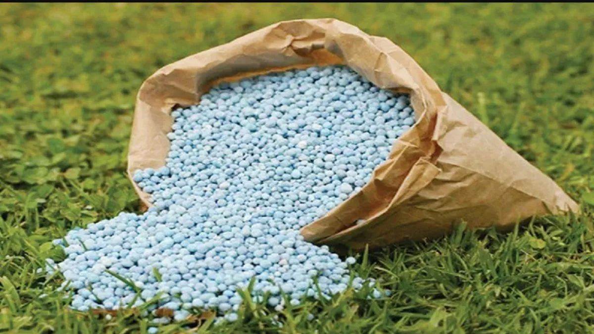 https://www.jagranimages.com/images/newimg/03092025/03_09_2025-fertilizer_24034569_212942936.jpg