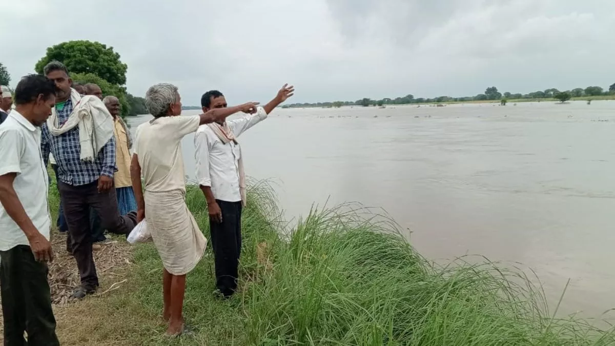 फसलें जलमग्न, कई गांवों में पानी आने का खतरा... फिरोजाबाद में खतरे के निशान से ऊपर बह रही यमुना