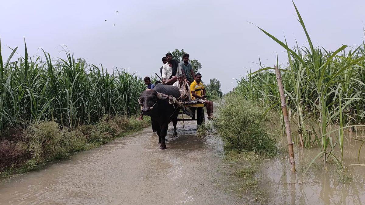 https://www.jagranimages.com/images/newimg/03092025/03_09_2025-hapur_ganga_flood_24034507.jpg