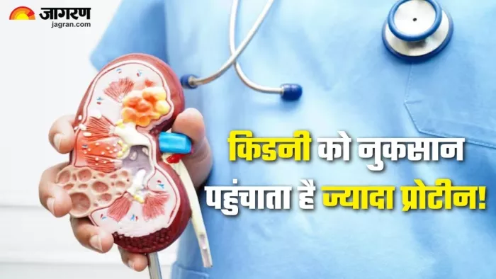प्रोटीन का ओवरडोज कैसे आपकी किडनी को हो सकता है नुकसान (Picture Credit- Freepik)
