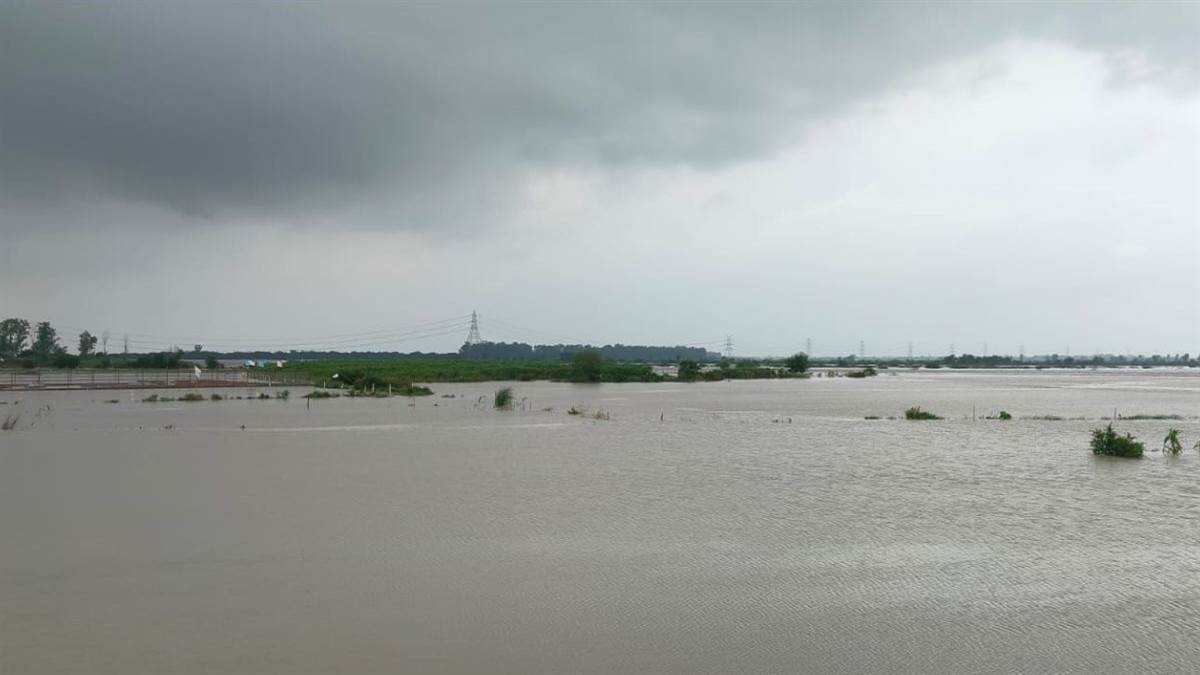 https://www.jagranimages.com/images/newimg/03092025/03_09_2025-noida_news_update_49_24034067.jpg
