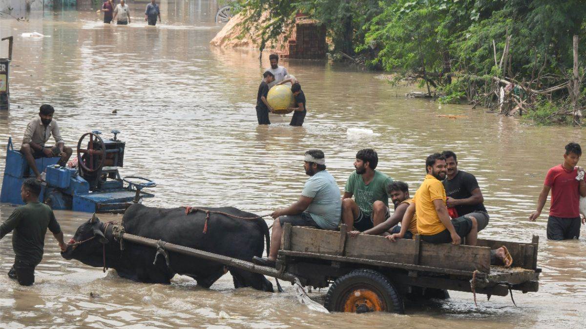 https://www.jagranimages.com/images/newimg/03092025/03_09_2025-yamuna_flood_2_24034173_175049950.jpg