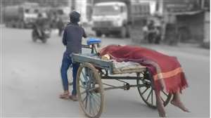 मालवाहक रिक्शे में बीमार मामा को खींचते ले गया नाबालिग भांजा