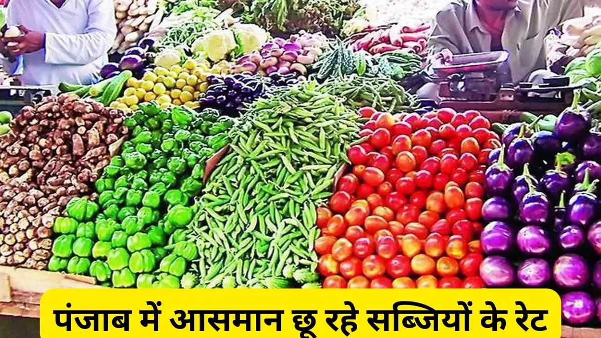 Punjab News: फेस्टिवल सीजन में सब्जियों के बढ़े दाम, लोगों का निकला दम