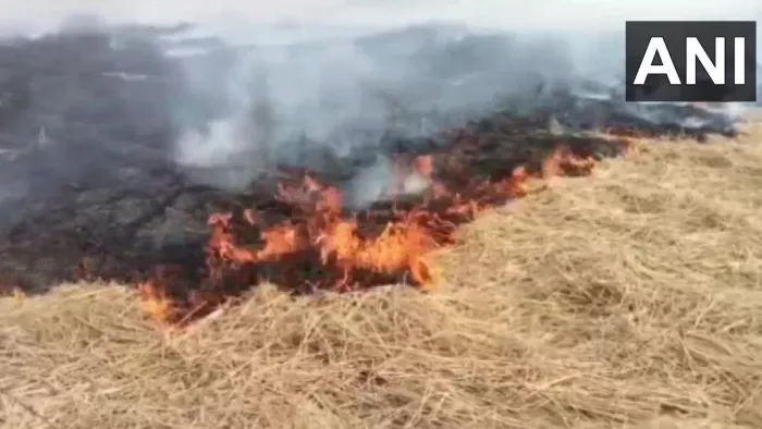 पराली जलने की घटनाओं पर केंद्र सरकार हरकत में आ गई है।