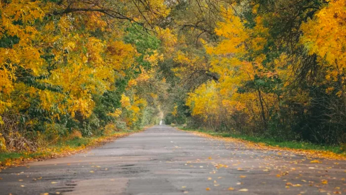 Autumn Destinations in India: भारत में पतझड़ में घूमने वाली जगहें