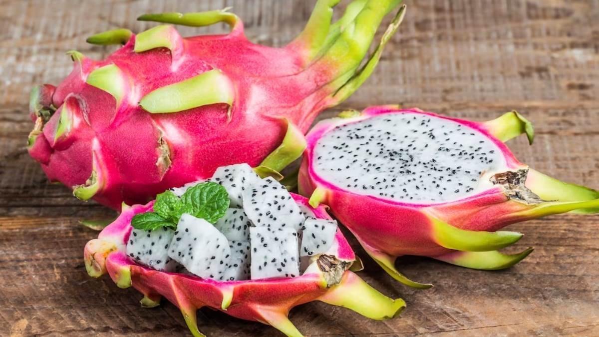 dragon fruit dragon fruit from thailand and vietnam will be produced in raebareli farmer prepared gardening
