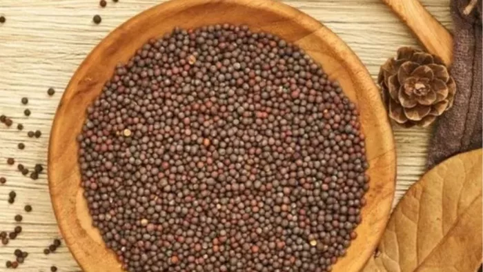 Mustard Seeds Benefits: औषधीय गुणों से भरपूर होते हैं सरसों के दाने