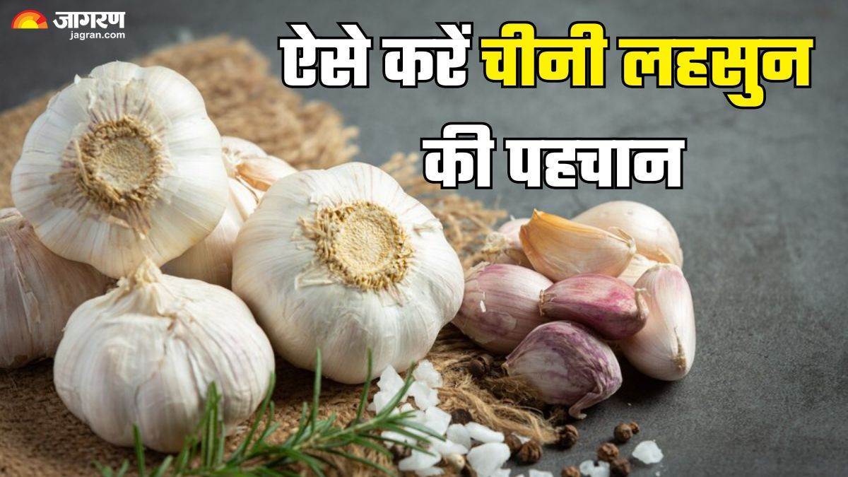 chinese garlic poses health risks to up residents task force formed to curb sale