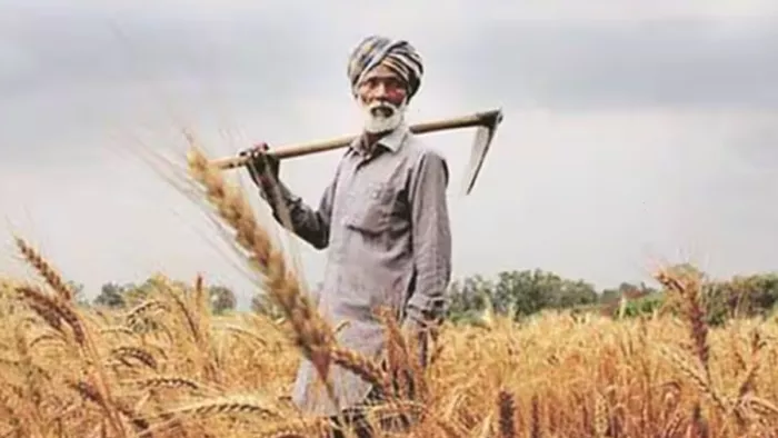 केंद्र सरकार ने कृषि से संबंधित दो योजनाओं को मंजूरी दी है। (File Photo)