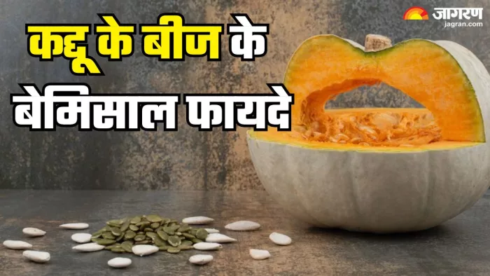 रोजाना कद्दू के बीज खाने से मिलेंगे ढेरों फायदे (Picture Credit- Freepik)