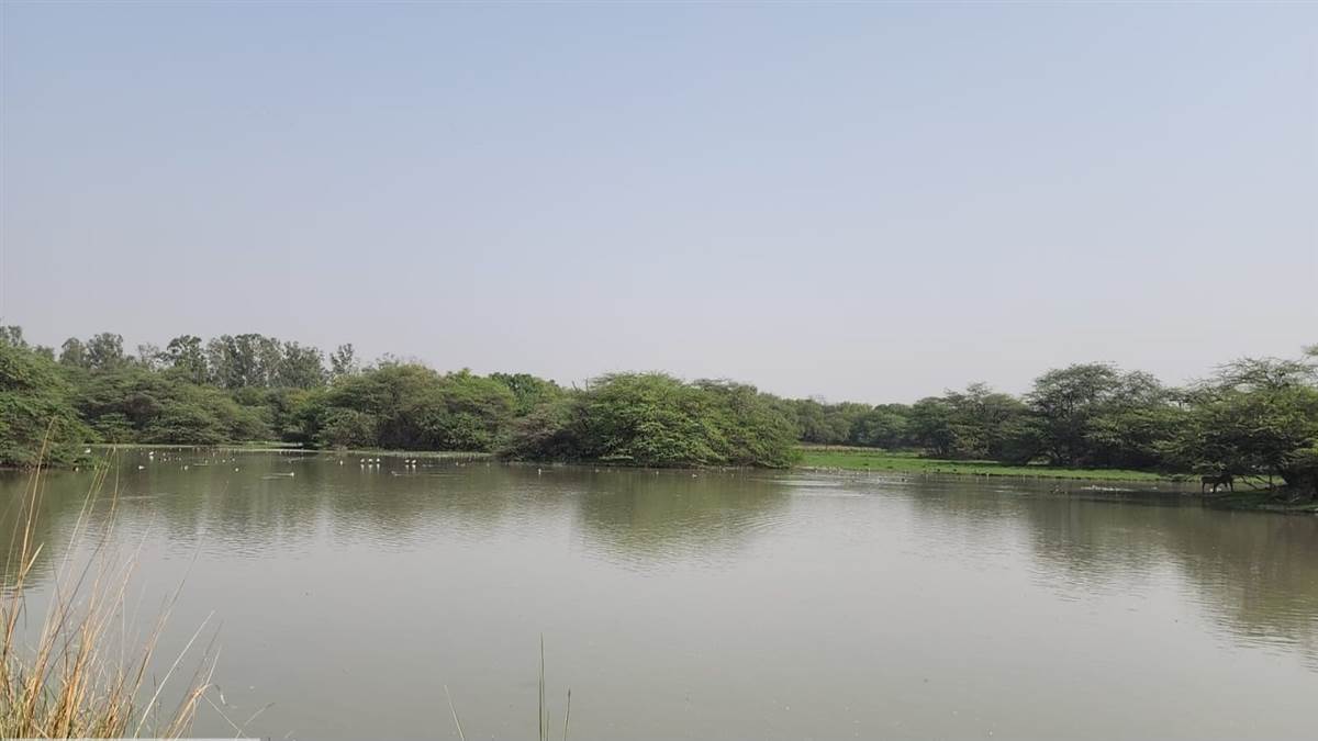 ncr sultanpur national park awaits arrival of exotic birds in 10 to15 days