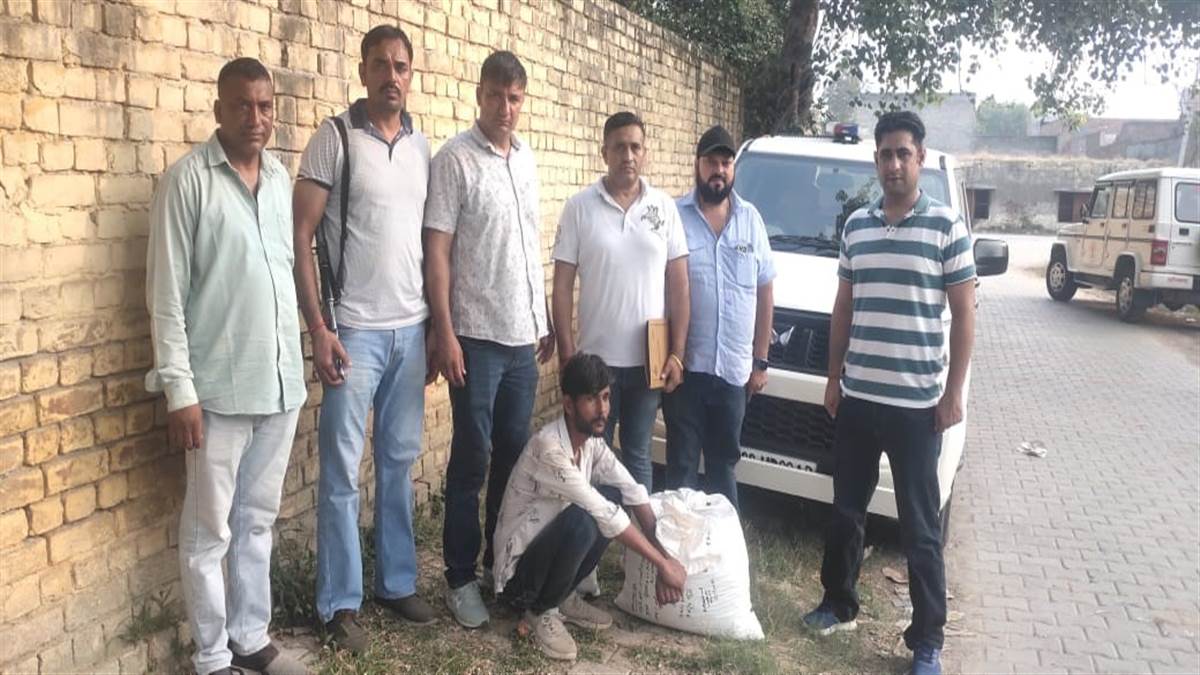 police launch special operation against drug trafficking one accused arrested 14 kg 600 grams of cannabis leaves recovered