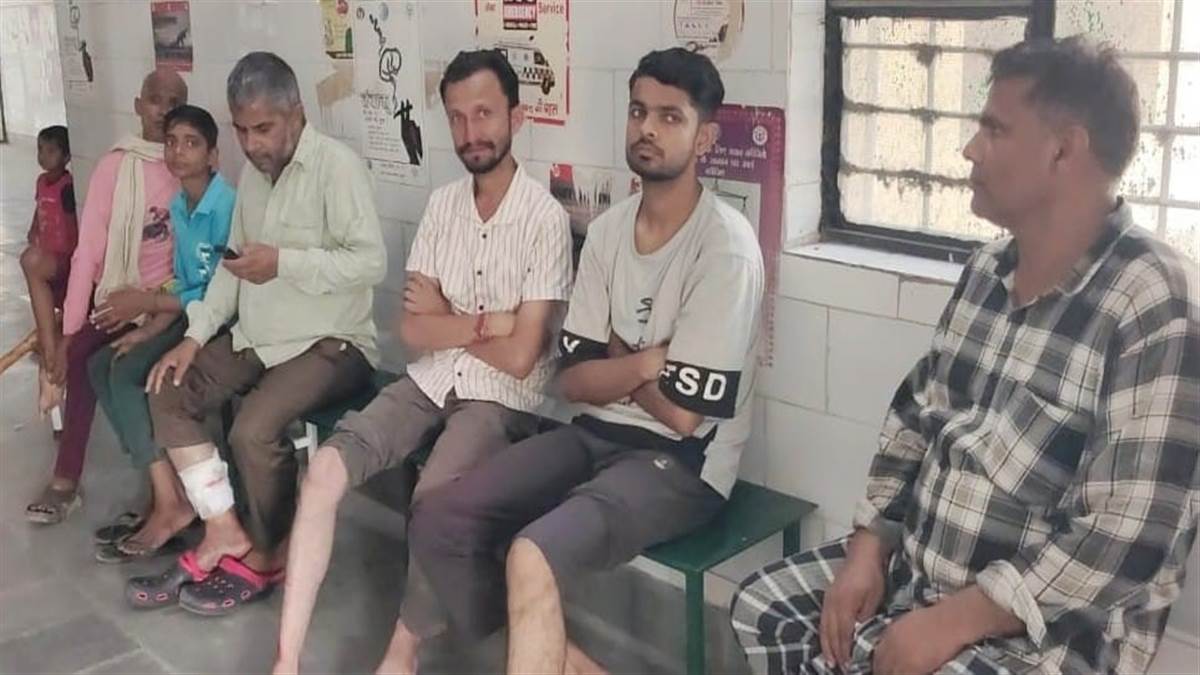 dog attack in jyotibaphoole nagar 14 injured in rampage
