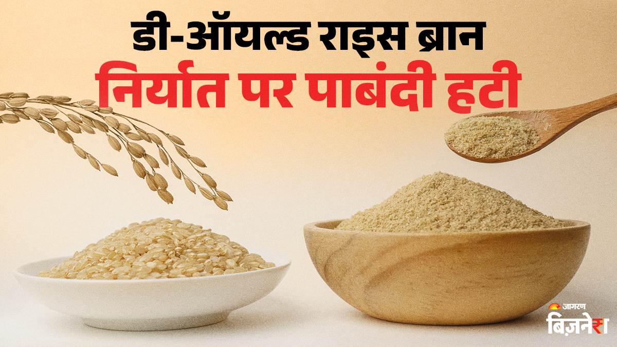 india lifts export ban on de oiled rice bran market impact and timeline