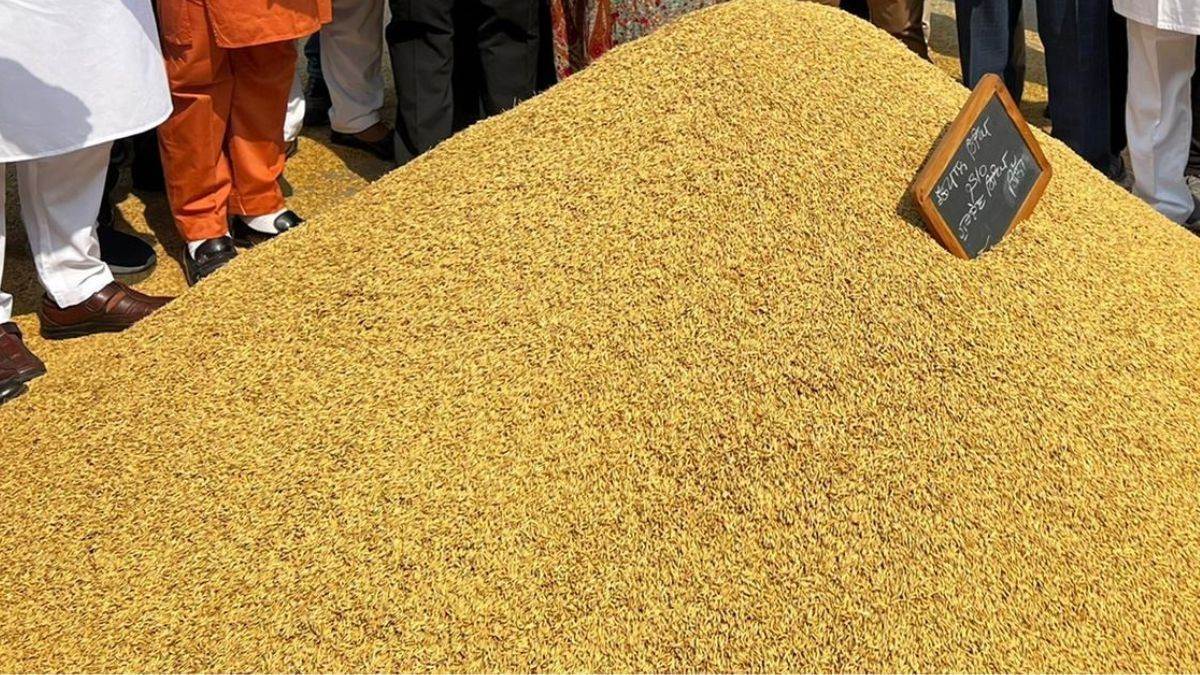 uttarakhand ration update rice surplus wheat shortage at government centers