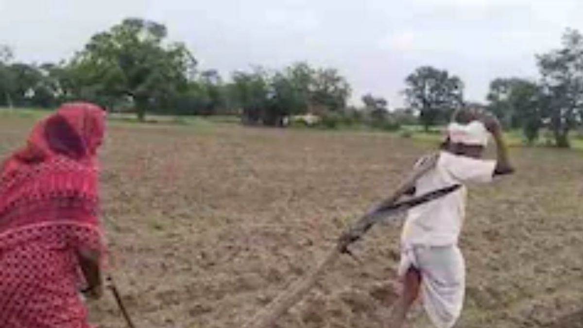 ncr faridabad up farmers forcibly cultivating haryana land after flood dispute erupts