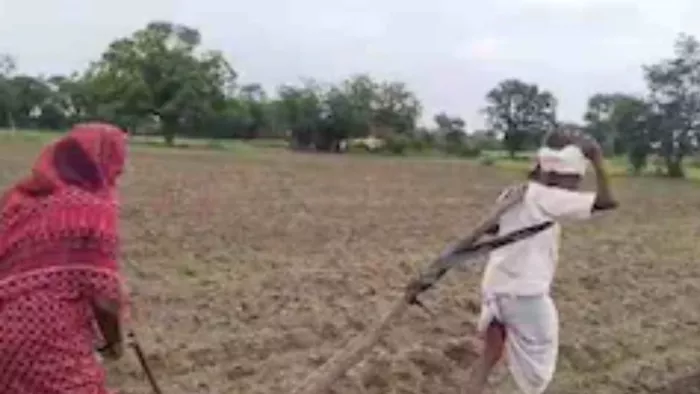 फरीदाबाद में हरियाणा और उत्तर प्रदेश के किसानों में बुवाई को लेकर विवाद हो गया है। फाइल फोटो