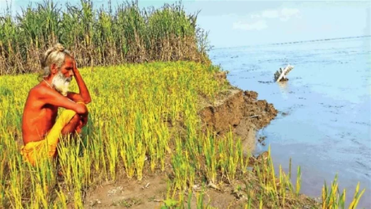 punjab weather new update alert issued for next week heavy rain threatens kharif crops