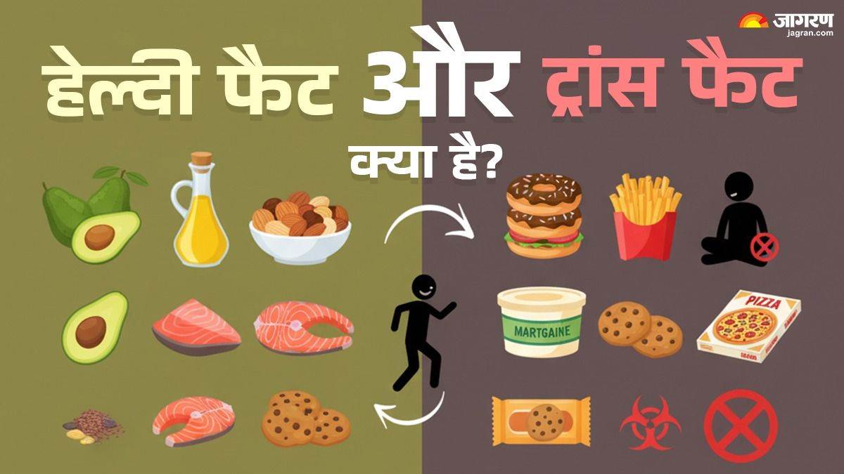 ncr healthy fats vs trans fats whats the difference an aiims doctor explains the daily recommended amount