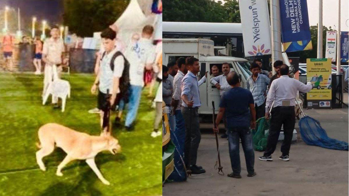 ncr stray dog bites kenyan coach at world para athletics championships
