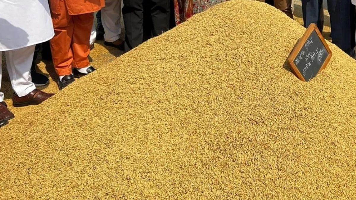 ncr sonipat rain damage crop loss and farmer concerns