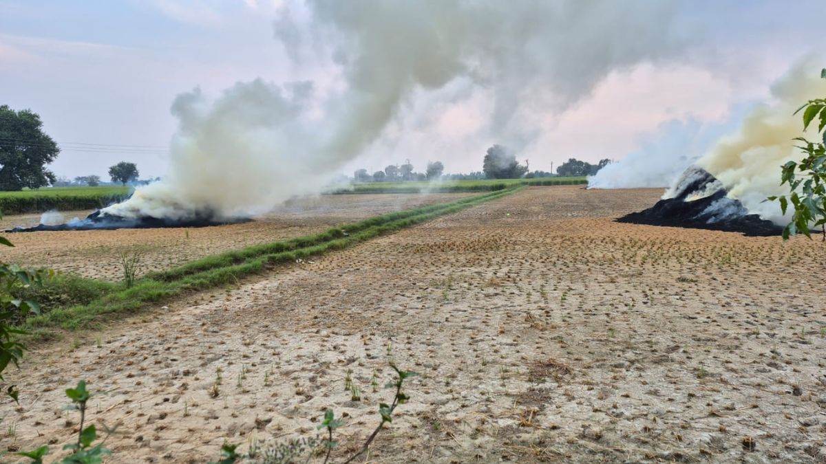 ncr noida stubble burning in jewar causes pollution action warning