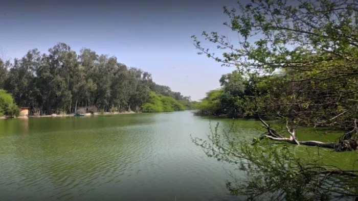 संजय झील किनारे बनेगा रेस्तरां, प्रकृति के बीच ले सकेंगे व्यंजनों का स्वाद
