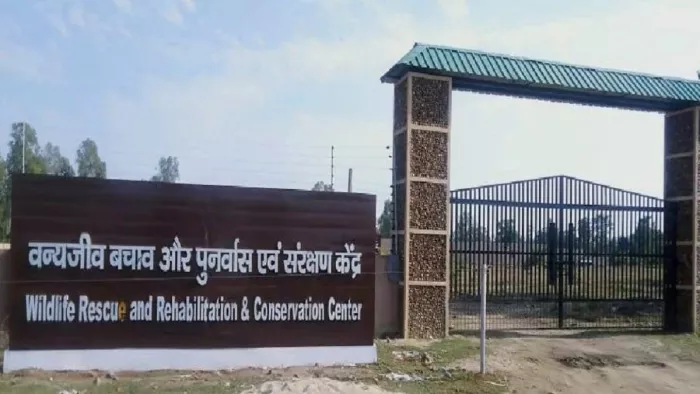 वन्यजीवों के लिए बन रहे रेस्क्यू सेंटर को पूरा होने में अभी लगभग पांच महीने लगेंगे। फाइल फोटो