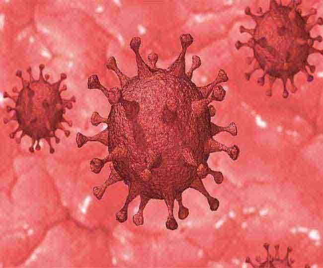 Uttarakhand Coronavirus Update: उत्तराखंड में आज आए कोरोना के सात नए मामले, नौ मरीज हुए स्वस्थ्य