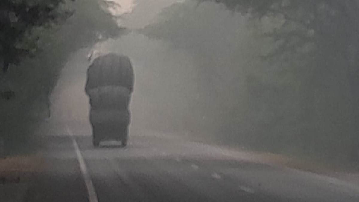 hathras weather forecast change in weather mood shadow mist slow vehicles