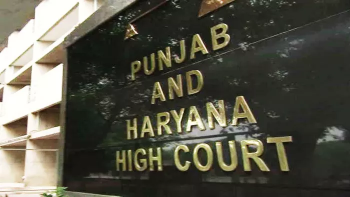 18 अक्टूबर को एनआइए ने शैली शर्मा के घर पर रेड की थी। फाइल फोटो