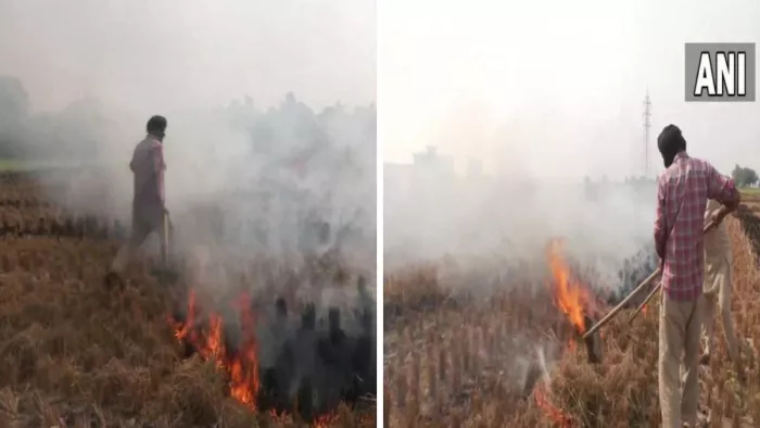 Air Pollution In Punjab: पंजाब में पराली जलाने से बढ़ा प्रदूषण। (जागरण)
