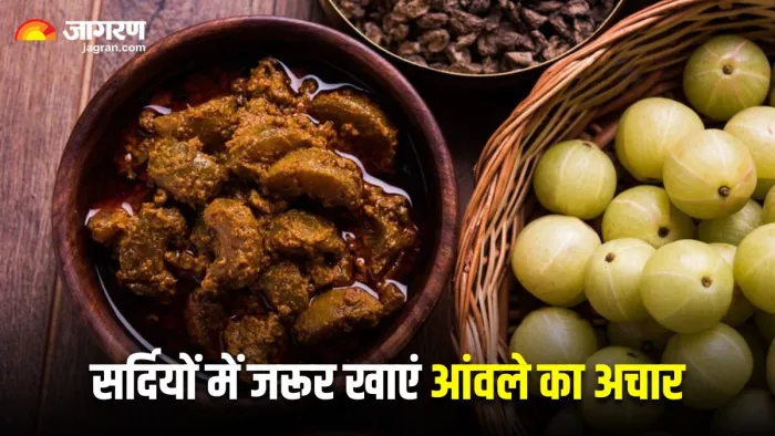 सर्दियों में इम्युनिटी डाउन नहीं होने देगा आंवले का अचार (Image Source: Freepik)