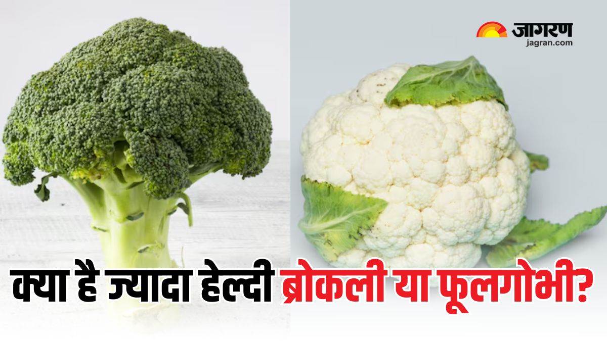 broccoli or cauliflower which one is more beneficial for health know the correct answer here