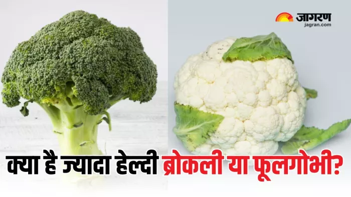 Broccoli या Cauliflower किसे करें डाइट में शामिल? (Picture Courtesy: Freepik)