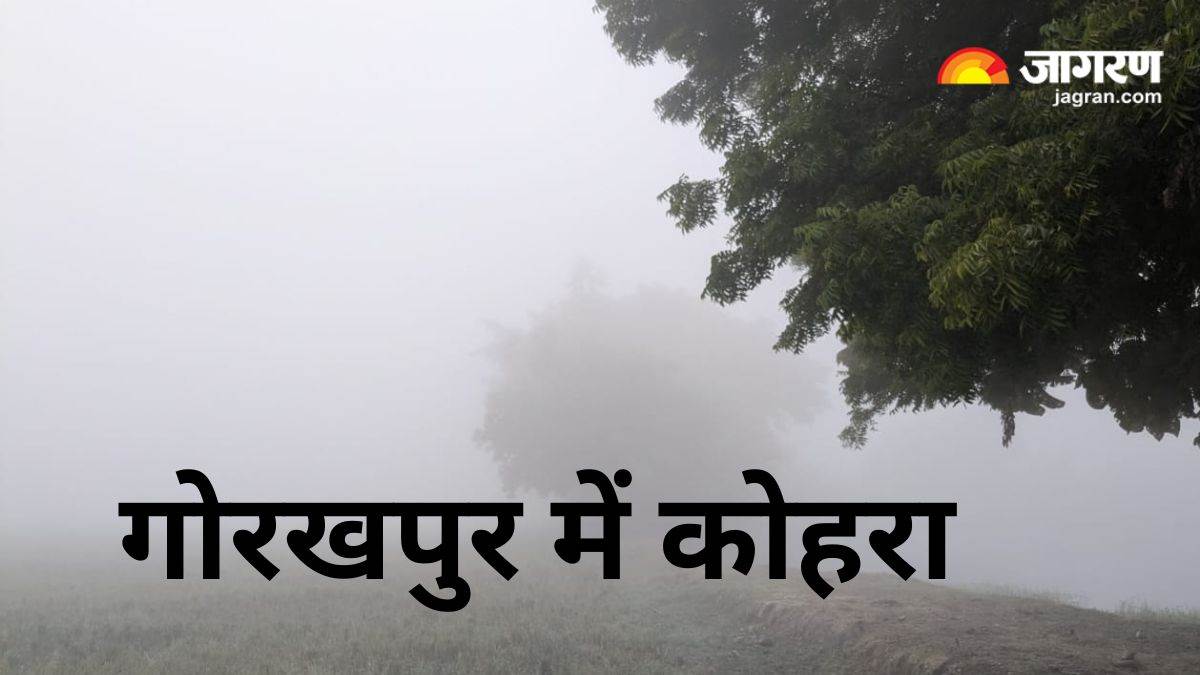 up weather update dense fog in gorakhpur air quality worsens in kanpur