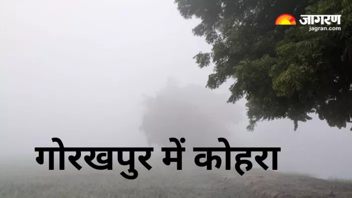 UP Weather News गोरखपुर में छाया घना कोहरा। जागरण