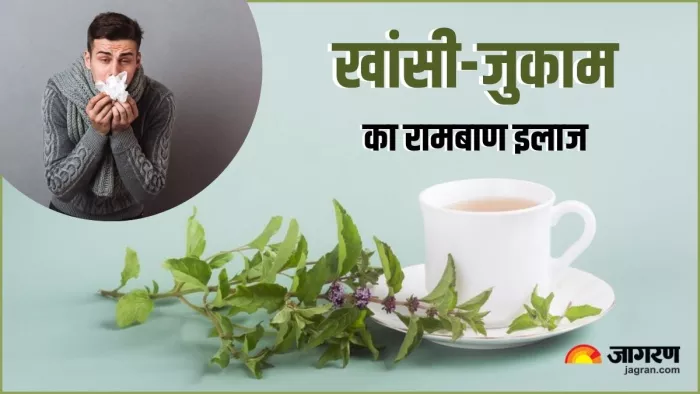खांसी-जुकाम में बेहद फायदेमंद है तुलसी का काढ़ा, जानें इसे बानने का आसान तरीका (Image Source: Freepik)