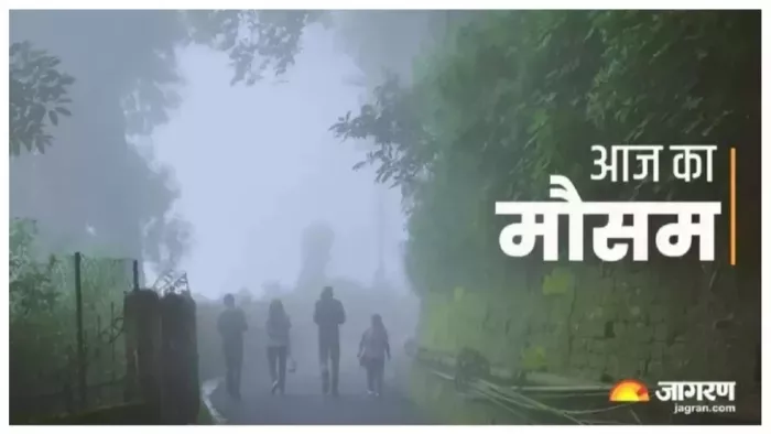 अगले हफ्ते से धीरे-धीरे बढ़ेगी ठंड। कोहरा भी दिखेगा।