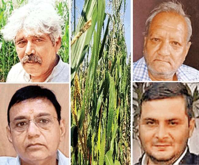 https://www.jagranimages.com/images/newimg/03122020/03_12_2020-farmers_21128794.jpg