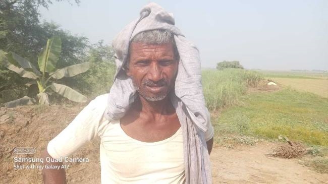 मुरझाई ईख, किसानों के जीवन से मिठास गायब