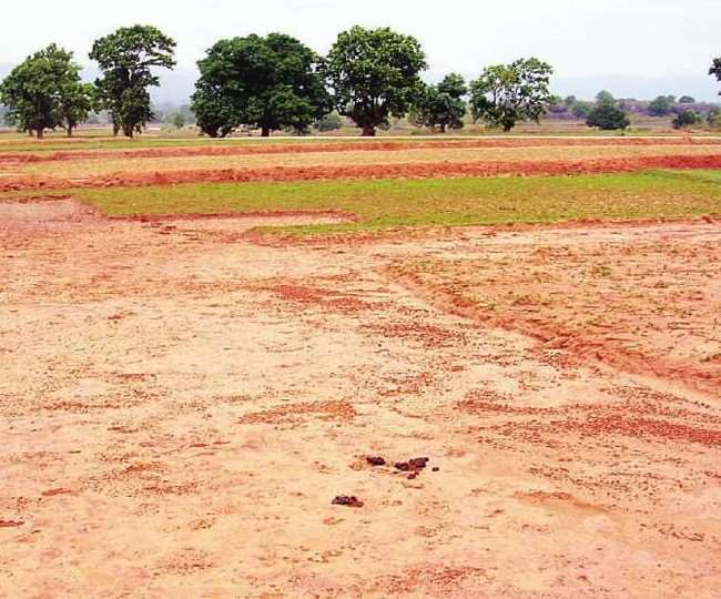 bihar government is ready to give four acres of land for free in return the condition laid for the central school