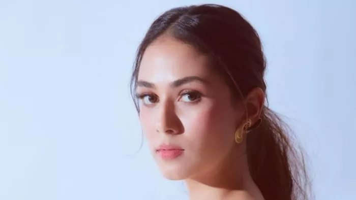 File Photo of Shahid Kapoor Wife Mira Rajput/Mira Kapoor