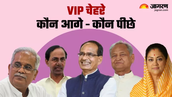 वीआईपी चेहरों पर खेला गया दांव कितना कामयाब?